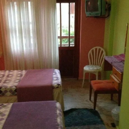 Doganaparts فندق *